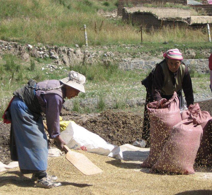 winnowing